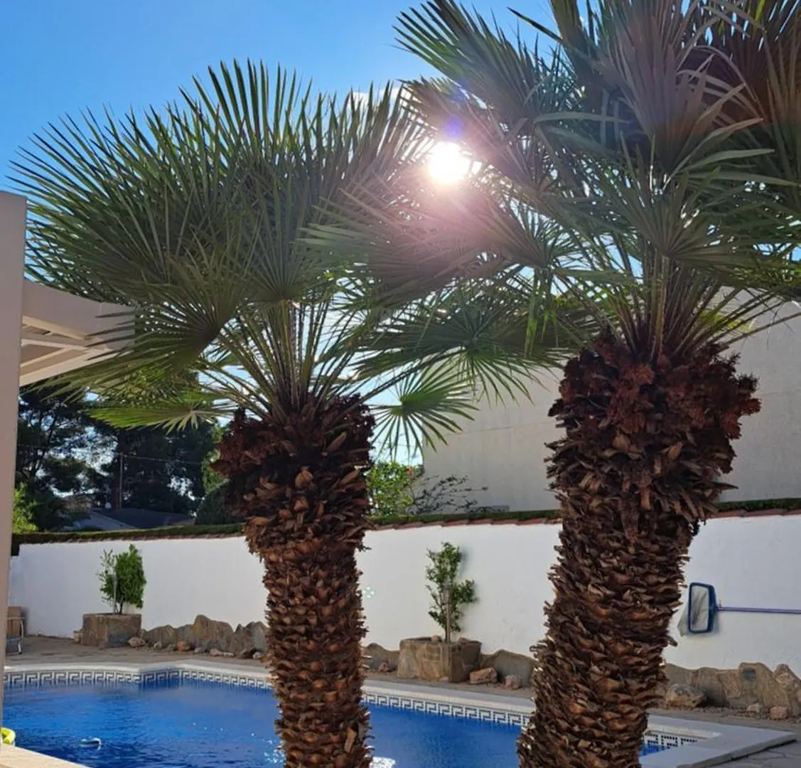 Casa Elisabeth Villa Les Tres Cales